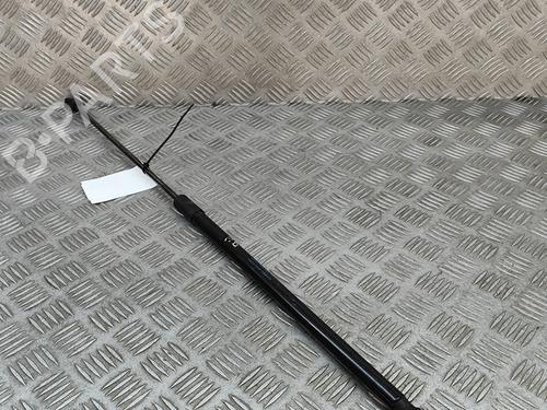 Hood lift support VW PASSAT B8 (3G2, CB2) 1.4 GTE Hybrid | BP25217671C139 