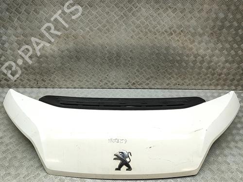 hood-peugeot-boxer-van-2006-36067826 main image