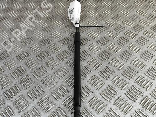 tailgate-lift-support-fiat-500-312_-2007-29373382 main image