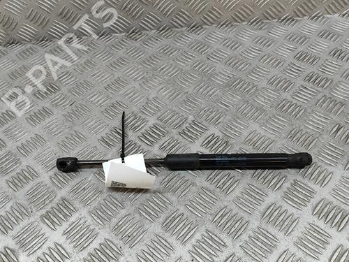 Hood lift support AUDI A6 C7 Avant (4G5, 4GD) 3.0 TDI quattro | BP26309918C139