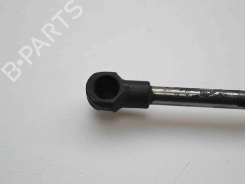 Amortecedor do capot VW PHAETON (3D1, 3D2, 3D3, 3D4, 3D6, 3D7, 3D8, 3D9) 3.0 V6 TDI 4motion | BP30245802C139 