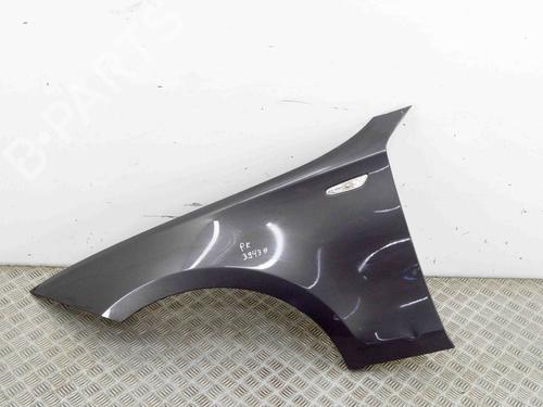 Used Left front fenders BMW 1 (E87) 116 i (122 hp) 29890715