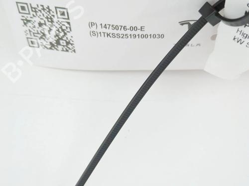Other TESLA MODEL 3 (5YJ3) EV | BP38467066O1 - Image 5