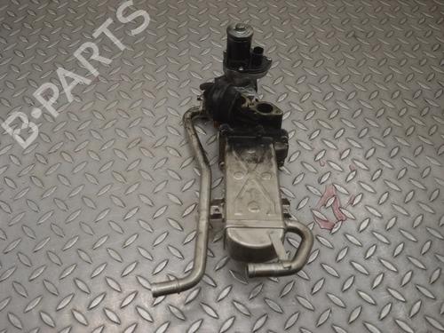 Egr NISSAN X-TRAIL III (T32_, T32R, T32RR) 1.6 DIG-T (T32) | BP30247386M69