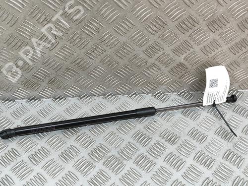 Used Tailgate lift support MAZDA 2 Hatchback (DL, DJ) 1.5 (DJLFS, DJ2HA) (110 hp) 28555794