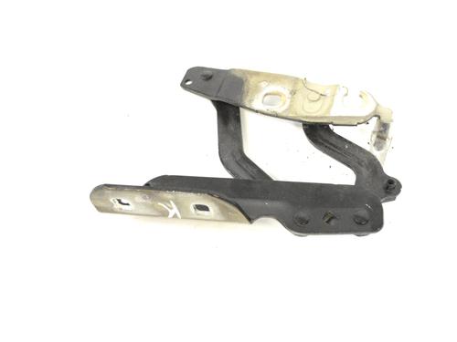 hingedoor-check-strap-ford-fiesta-vi-cb1-ccn-2008-33350334 main image