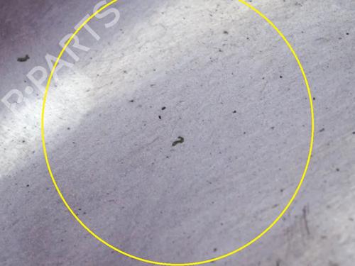  - Image 5
