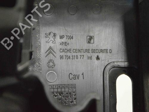 Trinnbrett PEUGEOT 3008 I MPV (0U_) 1.6 HDi | BP30224811C149 