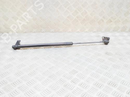 tailgate-lift-support-nissan-leaf-ze1-2017-27762817 main image