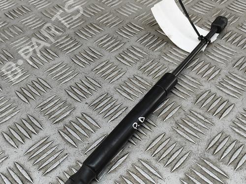 Hood lift support LAND ROVER RANGE ROVER EVOQUE (L538) 2.2 D 4x4 | BP26142570C139 