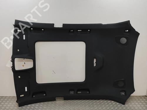 Techo interior AUDI Q8 (4MN, 4MT) 50 TDI Mild Hybrid quattro | BP28436771I12 