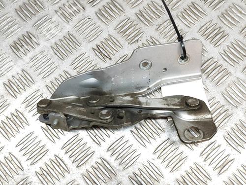 Used Hinge/Door check strap JEEP COMPASS (MK49) 2.2 CRD 4x4 (163 hp) 16711529