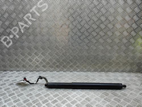 Gassdemper Bakluke Gassdemper Bakluke AUDI Q5 (FYB, FYG) 2.0 TDI quattro (190 hp) 36391121 36391121