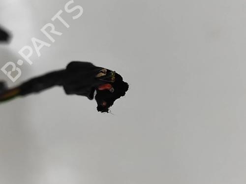 Electronic module AUDI A5 (F53, F5P) S5 TFSI quattro | BP27532394M83 - Image 5