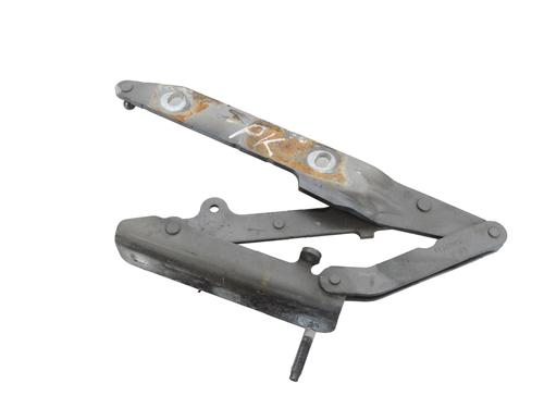 Hinge/Door check strap LAND ROVER DISCOVERY IV (L319) 3.0 TD 4x4 | BP30239096C146 