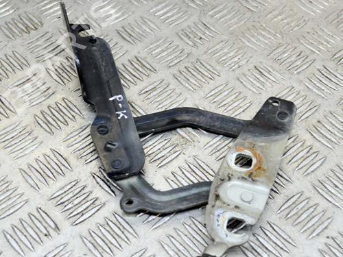 Hinge/Door check strap FORD FIESTA VI (CB1, CCN) 1.0 Sport | BP14630846C146