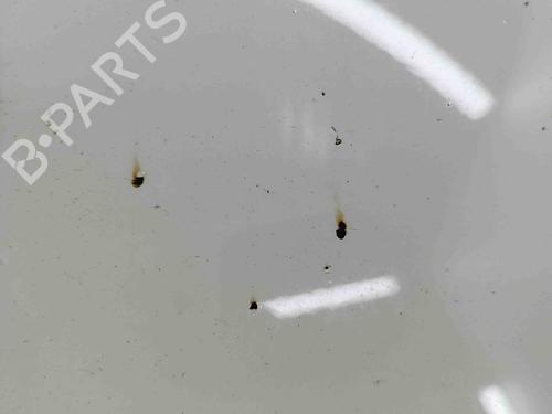 Capot VW NEW BEETLE Convertible (1Y7) 1.6 | BP29700360C1 