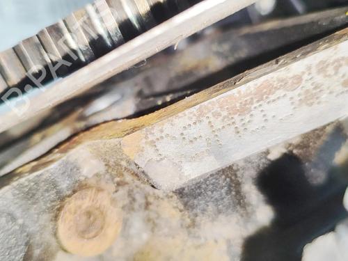 Engine VW AMAROK (2HA, 2HB, S1B, S6B, S7A, S7B, AGD) 2.0 BiTDI 4motion | BP33376660M1 - Image 9