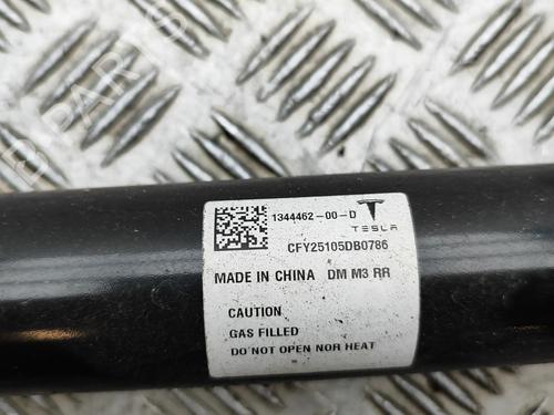 Left rear shock absorber TESLA MODEL 3 (5YJ3) EV | BP32269299M18