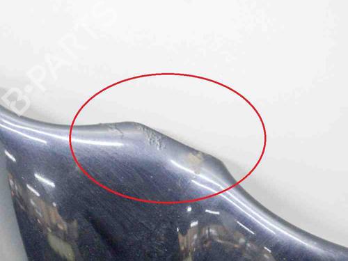 Hood JAGUAR XJ (X350, X358) 4.2 | BP29730605C1 
