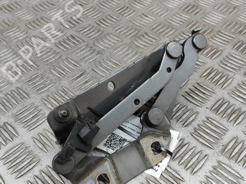 Hinge/Door check strap LAND ROVER RANGE ROVER EVOQUE (L538) 2.2 D 4x4 | BP26167981C146 