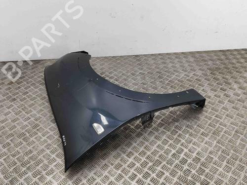 Right front fenders DACIA SANDERO II TCe 90 (B8M1, B8MA, B8AC) | BP29890739C42