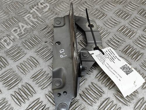 Used Hinge/Door check strap LAND ROVER RANGE ROVER EVOQUE (L538) 2.2 D 4x4 (190 hp) 26167981