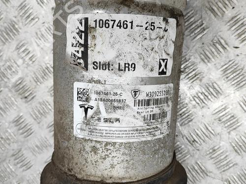Left rear shock absorber TESLA MODEL S (5YJS) P100D AWD | BP28436572M18  - Image 7