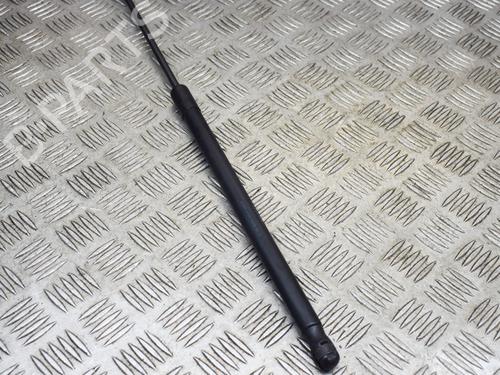 Hood lift support VW TOUAREG (7LA, 7L6, 7L7) 3.2 V6 | BP14635076C139 