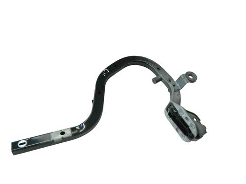 Bisagra/Limitador de puerta JAGUAR S-TYPE II (X200) 2.7 D (207 hp) 30246990