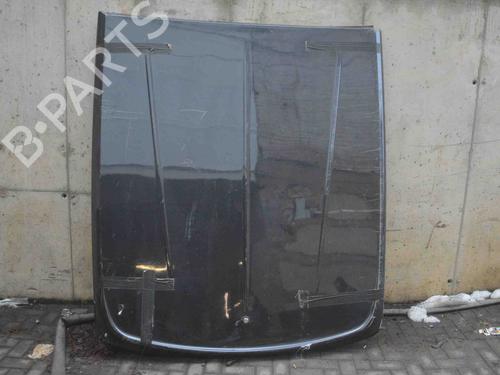 Used Tailgate DODGE RAM 1500 Pickup (DJ, DS) 5.7 4x4 (350 hp) 30247905