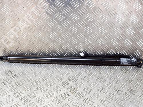 Used Tailgate lift support BMW X4 (G02, F98) xDrive 20 d (190 hp) 27756087