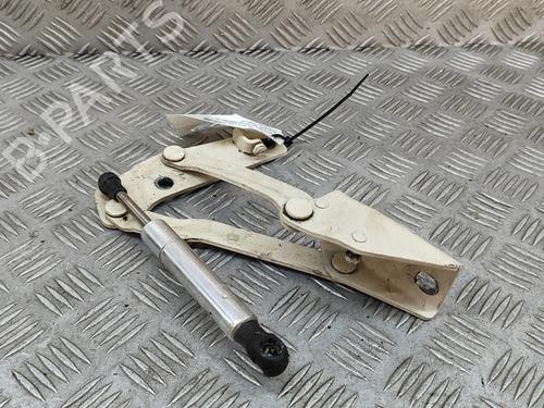 Hinge/Door check strap VW NEW BEETLE Convertible (1Y7) 1.6 | BP24307178C146 