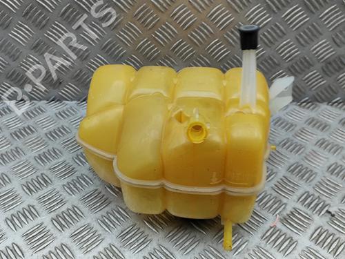 Ekspansjonstank FORD RANGER (TKE) 2.0 EcoBlue 4x4 | BP29975614C120 