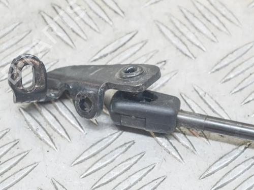 Hood lift support BMW 5 (F10) 520 d | BP14624919C139