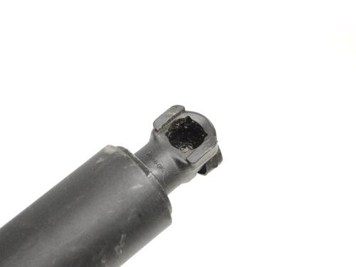 Hinge/Door check strap TESLA MODEL X (5YJX) P100D AWD | BP30229093C146