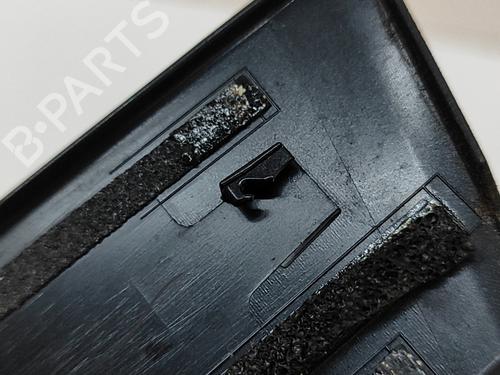 Door moulding trim LEXUS NX (_Z1_) 300h AWD (AYZ15, AYZ15_, AYZ15R) | BP28028872C150 