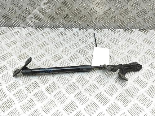 hood-lift-support-tesla-model-3-5yj3-2017-33732525 main image