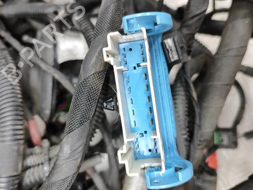 Wiring harness FERRARI CALIFORNIA 4.3 | BP32119087E16 