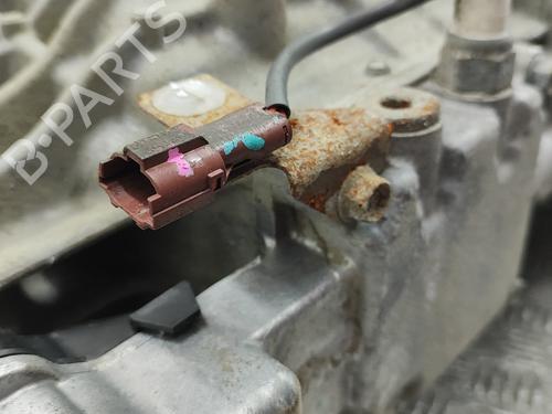 Gearbox NISSAN PATHFINDER III (R51) 2.5 dCi 4WD | BP25786935M3 