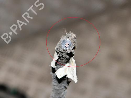 Right rear steering knuckle AUDI Q3 (8UB, 8UG) 2.0 TDI quattro | BP14643663M28 