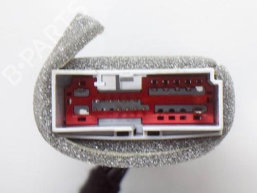 Left rear door JAGUAR XF I (X250) 3.0 D | BP7739801C4 