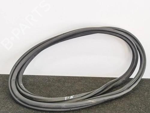 Gummiliste TESLA MODEL X (5YJX) 90D AWD (525 hp) 20233127