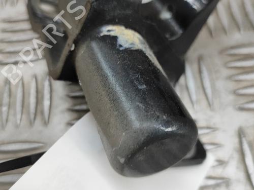 Hinge/Door check strap FORD S-MAX (WA6) 2.0 TDCi | BP27331196C146 