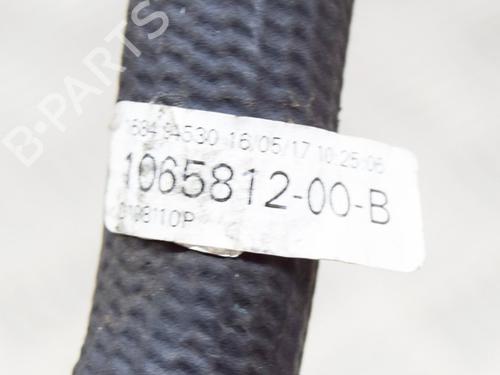 Pipe TESLA MODEL S (5YJS) 75 | BP14620240M125 