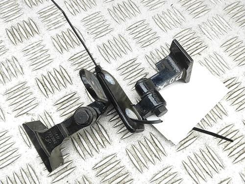 Used Hinge/Door check strap Hinge/Door check strap BMW X6 (G06, F96) M (600 hp) 32973929 32973929