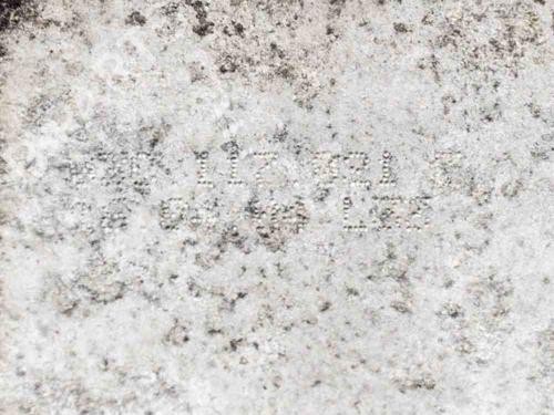 Oil radiator AUDI A3 (8P1) 1.6 FSI | BP6756451M33