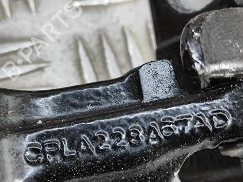 Hinge/Door check strap LAND ROVER RANGE ROVER VELAR (L560) 2.0 D240 SD4 4x4 | BP29337280C146 