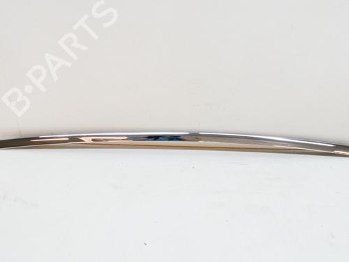 Used Door moulding trim TESLA MODEL X (5YJX) P100D AWD (772 hp) 14623852