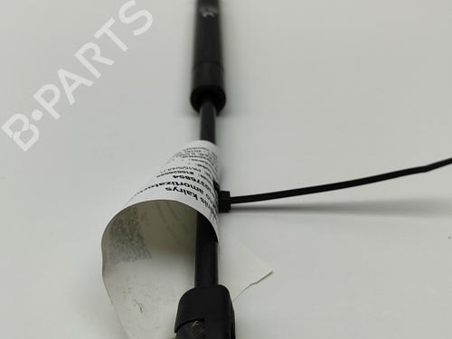Hood lift support LAND ROVER RANGE ROVER EVOQUE (L538) 2.2 D 4x4 | BP26167974C139 